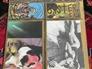 The Sonic Youth Sister Vinyl LP SST Records SST 134 1987