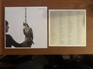 Dave Hause Devour clear double LP