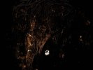 Wolves In The Throne Room Two Hunters 2xLP Gold 180G Double LP