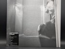 Vinyl Record Deftones Covers