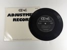 Sansui CD-4 Adjustment Record - Cat. 4DE-506 - 7-inch 45 RPM Vinyl Disc