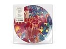 PAUL McCARTNEY The Boys Of Dungeon Lane PICTURE DISC RINGO BEATLES In Hand