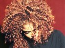 Janet Jackson The Velvet Rope (Vinyl) 12