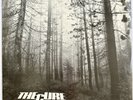 THE CURE -A Forest- Rare Original UK 12” +  Picture Sleeve (Vinyl Record)