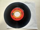THE BEATLES DAY TRIPPER 45