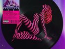 Madonna Confessions II Picture Disc LP Grindr Limited Edition PRESALE