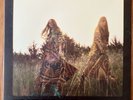 First Aid Kit The Lion’s Roar Vinyl 2012 First Pressing Vinyl NM / Sleeve NM