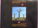PINK FLOYD - DELICATE SOUND OF THUNDER - ITALY LP 1986 EX/EX
