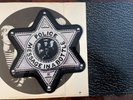 THE POLICE MESSAGE IN A BOTTLE BADGE SHAPED PICTURE DISC 1980 45 RPM