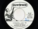 Garage 45 - Shadows Of Knight - Someone Like Me - Dunwich - VG++ promo