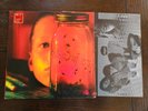 ALICE IN CHAINS - Jar Of Flies / Columbia  1st 1994 Spain Press
