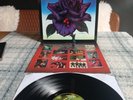 THIN LIZZY, Black Rose LP (RARE SPACESHIP LABELS + INNER) Excellent Throughout.