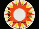 Surf Inst. 45 - Bounty Hunters - Echo Express - Huron VG+