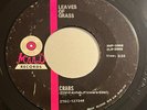 PRIVATE 1968 MN Garage Rock 45 - THE LEAVES OF GRASS 