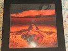Alice in Chains Dirt Vinyl 30th Anniversary Box Set