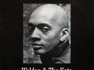 Weldon Irvine - Weldon & The Kats (LP, Album, RE) (Very Good Plus (VG+))