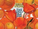 RARE 2008‼️BRIAN WILSON - THAT LUCKY OLD SUN (LIMITED EDITION 180g VINYL)