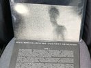 5 Album Vinyl Bundle All By RED LORRY YELLOW LORRY: TALK ABOUT THE WEATHER 1985+