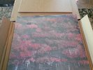 NEW Sleep Token 'Even In Arcadia' Bad World Liquid Filled Vinyl 2LP