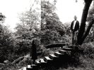 Timber Timbre - Timber Timbre / Vinyl LP