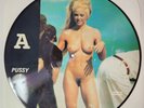 Madonna Erotic Interview 92 Picture Disc Vinyl 1992