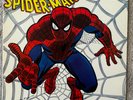 1972 Buddah AMAZING SPIDER-MAN Beyond The Grave Rockomic  w/Poster vinyl LP