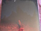 PHOEBE BRIDGERS. `PUNISHER`. LTD ED SEA GLASS FOAM VINYL WITH SIGNED ART PRINT
