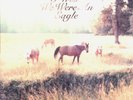 Bill Callahan - Sometimes I Wish We Were An Eagle (LP, Album) (Mint (M)) - 33220