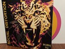 MIKE NESS SIGNED SOCIAL DISTORTION BORN TO KILL LP  VINYL 5/14 ROUGH TRADE +PIC