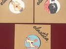 Elastica 7 Inch Singles Vinyl Bundle  Mad Dog, Connection, Waking Up
