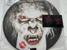 YEAH YEAH YEAHS Heads Will Roll 7” Vinyl Picture Disc NEW, SEALED & MINT