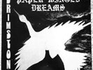BRIMSTONE - PAPER WINGED DREAMS (2000 Not On Label repress)