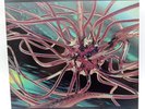 The Future Sound of London - FSOL - Cascade EP - Vinyl 12' - 1993 Release