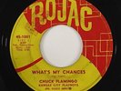 Chuck Flamingo Kansas City Playboys 