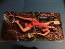 Roxy Music - Stranded orig LP PROMO 1973 HYPE gatefold record album VG+/VG+