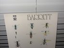 Syd Barrett 1970 Vinyl Harvest Textured Cover  SHSP 4007 Ex