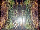 All Them Witches - Bakers Dozen Box Set (Near Mint)