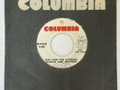 Iggy And the Stooges SEARCH AND DESTROY 45RPM 7” White Label Promo VG+ COLUMBIA