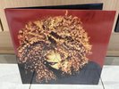 Janet Jackson - The Velvet Rope (Limited Red Coloured Vinyl)