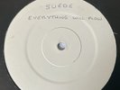 SUEDE PROMO / DEMO 12