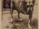 Alice In Chains Self Titled 30th Anniversary D2C Purple & Yellow Swirl Vinyl LP