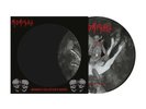 Midnight 'Rebirth By Blasphemy' Picture Disc Vinyl - (Rel June 12 2026)