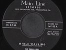 FABULAIRES: while walking / no no MAIN LINE 7