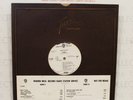FACES (ROD STEWART , RONNIE WOOD) LONG PLAYER *RARE* WHITE LABEL PROMO 1971 LP
