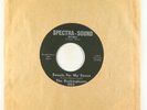 Garage 45 - Buckinghams - Sweets For My Sweet - Spectra-Sound VG+
