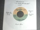 7” 45 RPM RECORD / GENERIC SLEEVE by VONTASTICS 