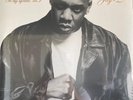 Jay-Z - In My Lifetime, Vol. 1 (2xLP) (Mint (M))