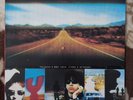 The Jesus & Mary Chain Stoned Dethroned Vinyl 1994 EU Original Rock Album