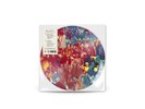 Paul McCartney - The Boys Of Dungeon Lane - Picture Disc Vinyl LP Brand New