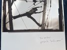 TIM HECKER RADIO AMOR 2018 RE 2xLP AVANTGARDE AMBIENT EXPERIMENTAL NM